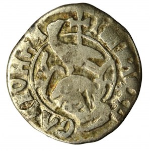 Władysław II, Hospodarstwo Wołoskie, ducati (półgrosz), bez daty(852)