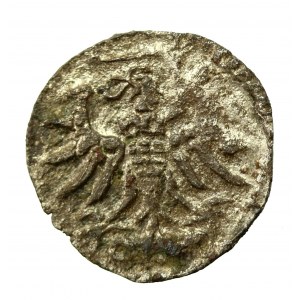 Zygmunt II August, Denar 1554, Gdańsk (888)