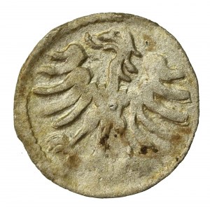 Aleksander Jagiellończyk, denar, Wilno (889)