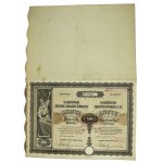 Siersza, Galician Joint Stock Mining Works, 200 Crowns, 1918 (616)