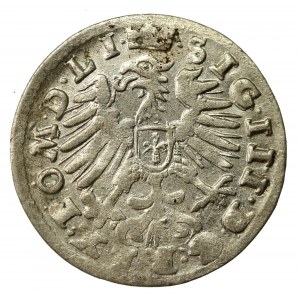 Zygmunt III Waza, Grosz 1608, Wilno (595)