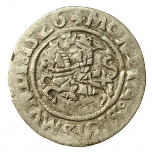 Žigmund I. Starý, polgroš 1526, Vilnius (710)