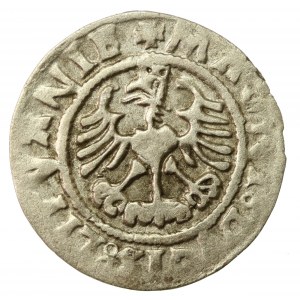 Žigmund I. Starý, polgroš 1526, Vilnius (710)