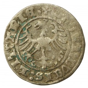 Zygmunt I Stary, półgrosz 1512, Wilno. Awers-trzy kropki (716)