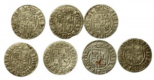 Sigismund III Vasa, set of Bydgoszcz half-tracks, total of 7 pieces (798)