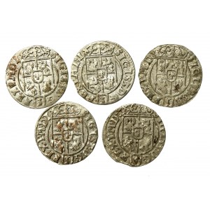 Zygmunt III Waza, zestaw półtoraków bydgoskich, razem 5 sztuk (799)