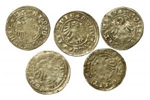 Alexander Jagellonský, sada litevských půlpencí. Celkem 5 kusů (933)