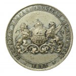 Hungary, commemorative medal 1881 (999)