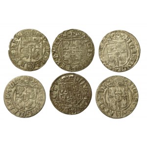Zygmunt III Waza, zestaw półtoraków bydgoskich. Razem 6 sztuk (1091)