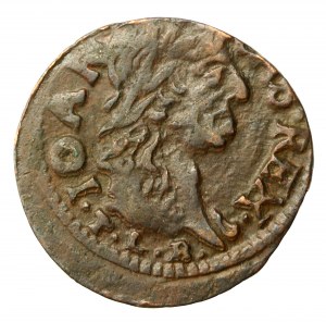 John II Casimir, copper shilling (boratine), 1664, Ujazdów (1177)