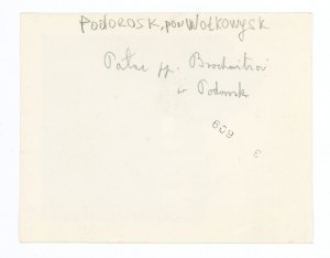 Podorosk - Volkovysk district, Bochwic Palace (233)