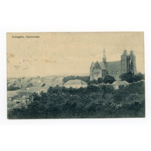 Opatów - Chiesa Collegiata (240)