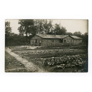 Dorohusk - wooden building (246)