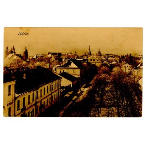 Płock - Widok (505)