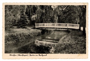Września - Park (461)