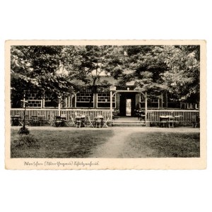 Września - Restauracja (462)