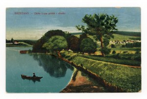 Brzeżany - Golden Linden dyke and huts (194)