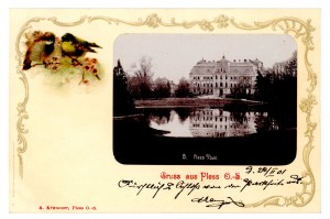 Pszczyna / Pless - Zamek (264)