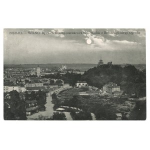 Vilnius - View from the Bernardine Garden (267)