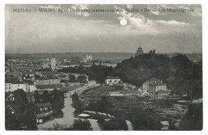 Vilnius - Vue du jardin des Bernardins (267)
