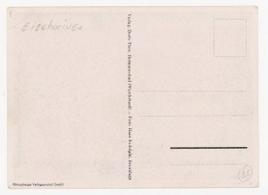 Ciechocinek / Hermannsbad - Raciąż, ruins (643)