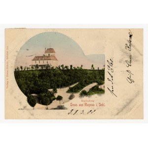 Chojnow - Widok (644)