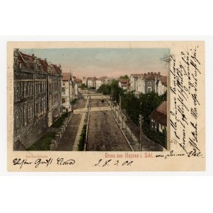 Chojnów - Ogrodowa Street (645).
