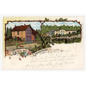 Raszówka / Vorderheide - Widoki (649)