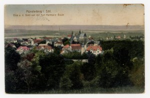 Ziębice - View of the city from Karl Hartmann's cottage (675)