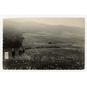 Małopolska - Granica polsko-czeska - słup graniczny (716)