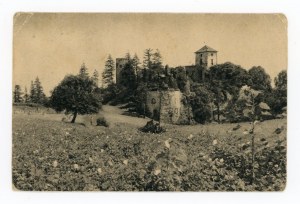 Rudno district of Chrzanów - Tenczyn castle, ruins (752).