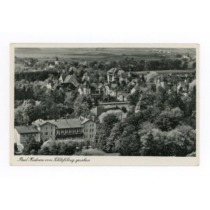 Kudowa-Zdrój - widok na miasto (913)