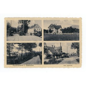 Saluti dal Beskydy - Bosco degli zingari (914)
