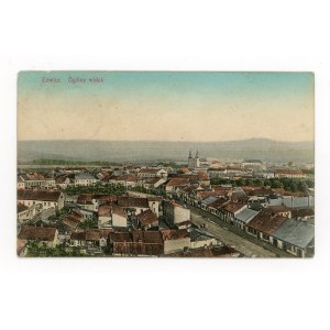 Lowicz - vista generale (1083)