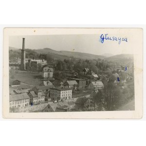 Głuszyca - Celkový pohľad (1236)
