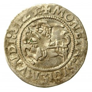 Zygmunt I Stary, Półgrosz Wilno, z datą 5123 zamiast 1523 (501)