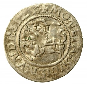 Zikmund I. Starý, vilenský půlpenny, datovaný 5123 místo 1523 (501)