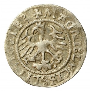 Zygmunt I Stary, Półgrosz Wilno, z datą 5123 zamiast 1523 (501)
