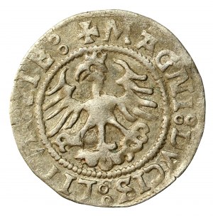 Zikmund I. Starý, vilenský půlpenny, datovaný 5123 místo 1523 (501)