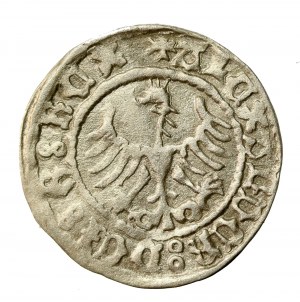 Alexander Jagellonský, korunový půlpenny, Krakov (502)