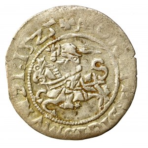 Zikmund I. Starý, půlgroše 1525, Vilnius (503)