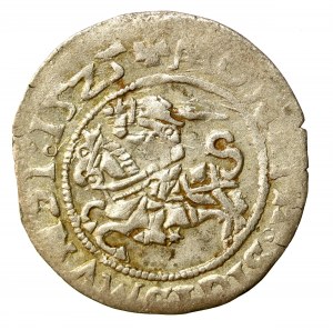 Zikmund I. Starý, půlgroše 1525, Vilnius (503)