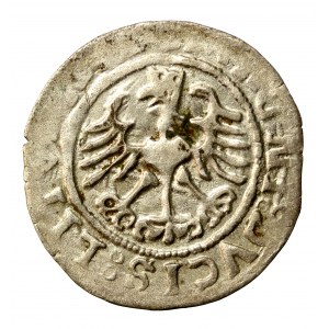 Zikmund I. Starý, půlgroše 1525, Vilnius (503)