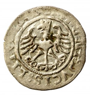 Zikmund I. Starý, půlgroše 1525, Vilnius (503)