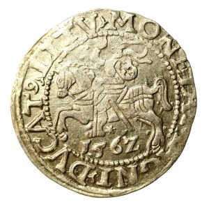 Sigismund II Augustus, Half-grosz 1562, Vilnius - 17 Pogon, L/LITV (504)