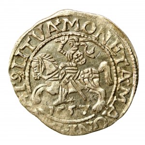 Sigismund II Augustus, Half-penny 1557, Vilnius. LI/LITVA (508)