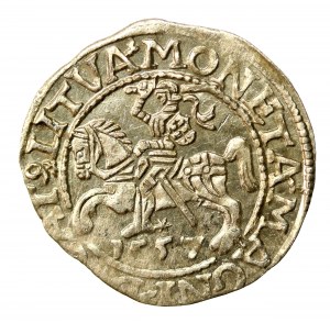 Sigismund II Augustus, Half-penny 1557, Vilnius. LI/LITVA (508)