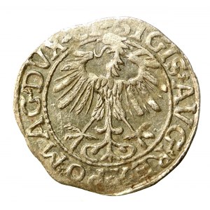 Sigismund II Augustus, Half-penny 1557, Vilnius. LI/LITVA (508)