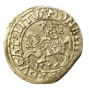 Sigismond II Auguste, demi-penny 1556 Vilnius, LI/LITVA (509)