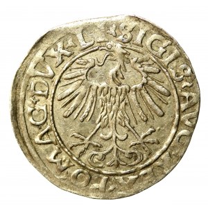 Sigismond II Auguste, demi-penny 1556 Vilnius, LI/LITVA (509)